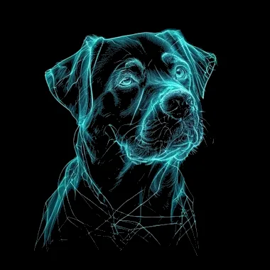 Anjing Hitam