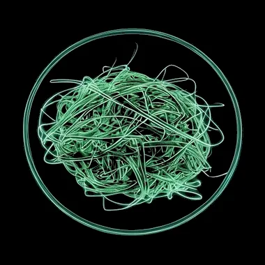 Mie Goreng