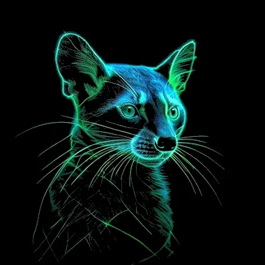 Musang