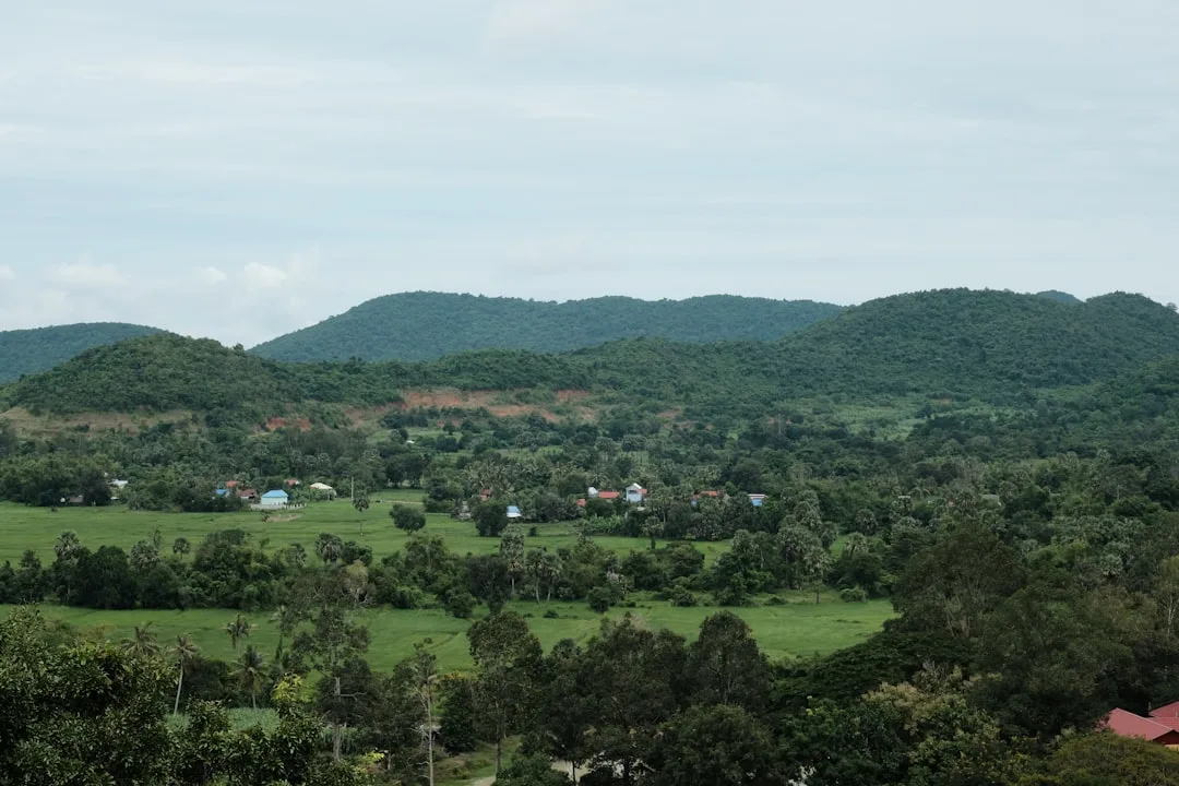 Riwayat pasaran Cambodia di komunitas togel - landscape rural Cambodia rice fields