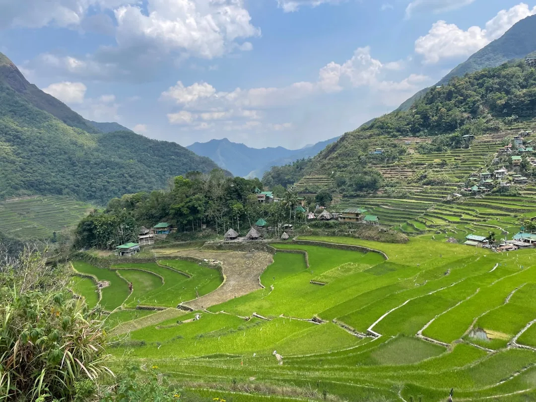 PCSO di komunitas togel - Philippines Banaue rice terraces landscape