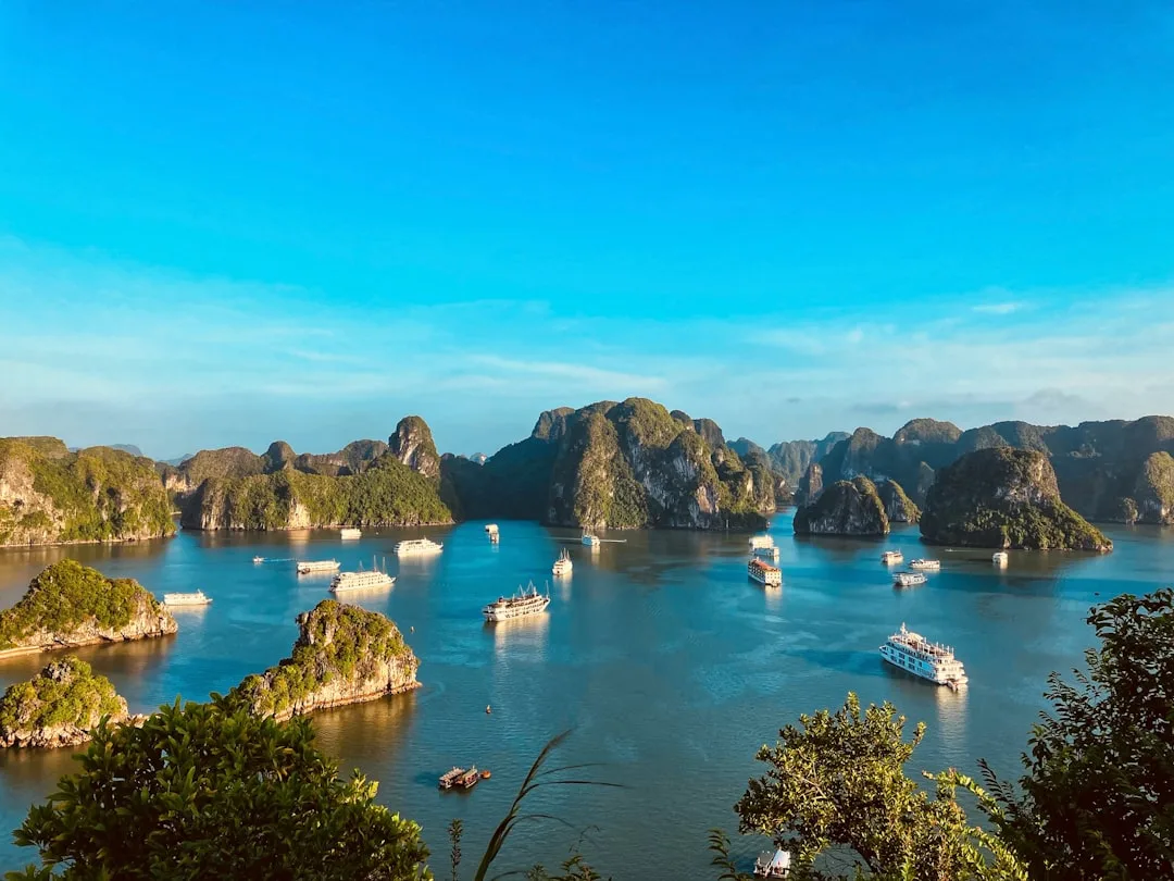 Vietnam di komunitas togel - Halong Bay landscape Vietnam